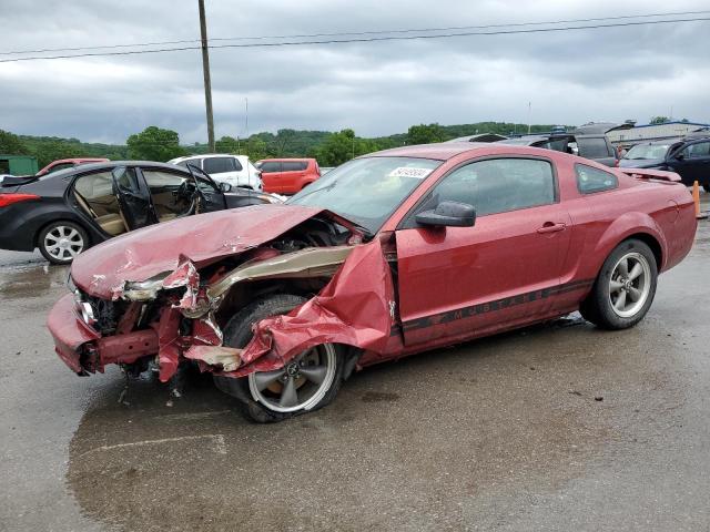 FORD MUSTANG 2006 1zvft80n065150341