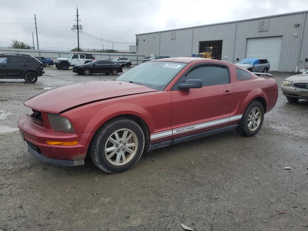 FORD MUSTANG 2006 1zvft80n065150548