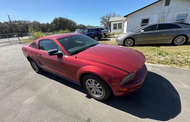 FORD MUSTANG 2006 1zvft80n065158679