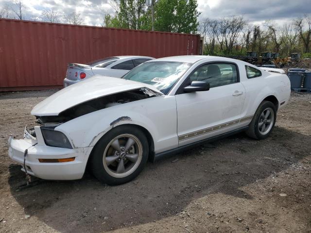 FORD MUSTANG 2006 1zvft80n065226933