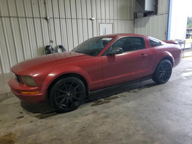 FORD MUSTANG 2005 1zvft80n155107190