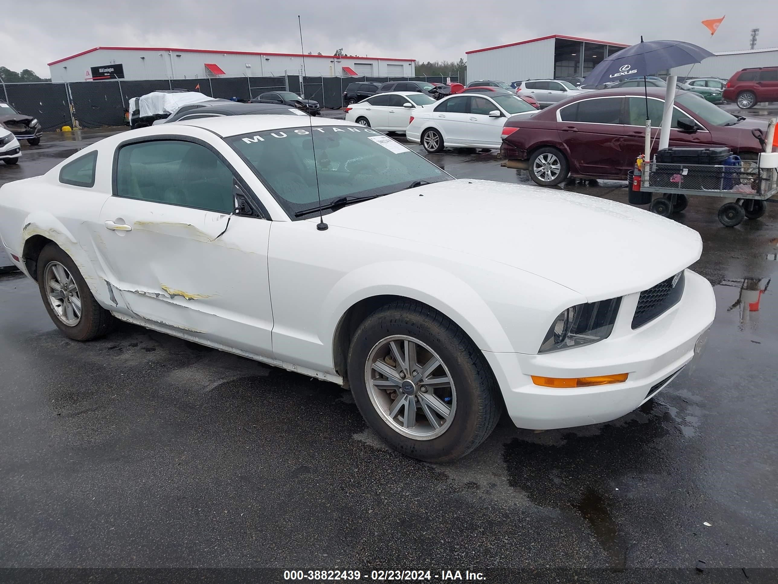 FORD MUSTANG 2005 1zvft80n155111675