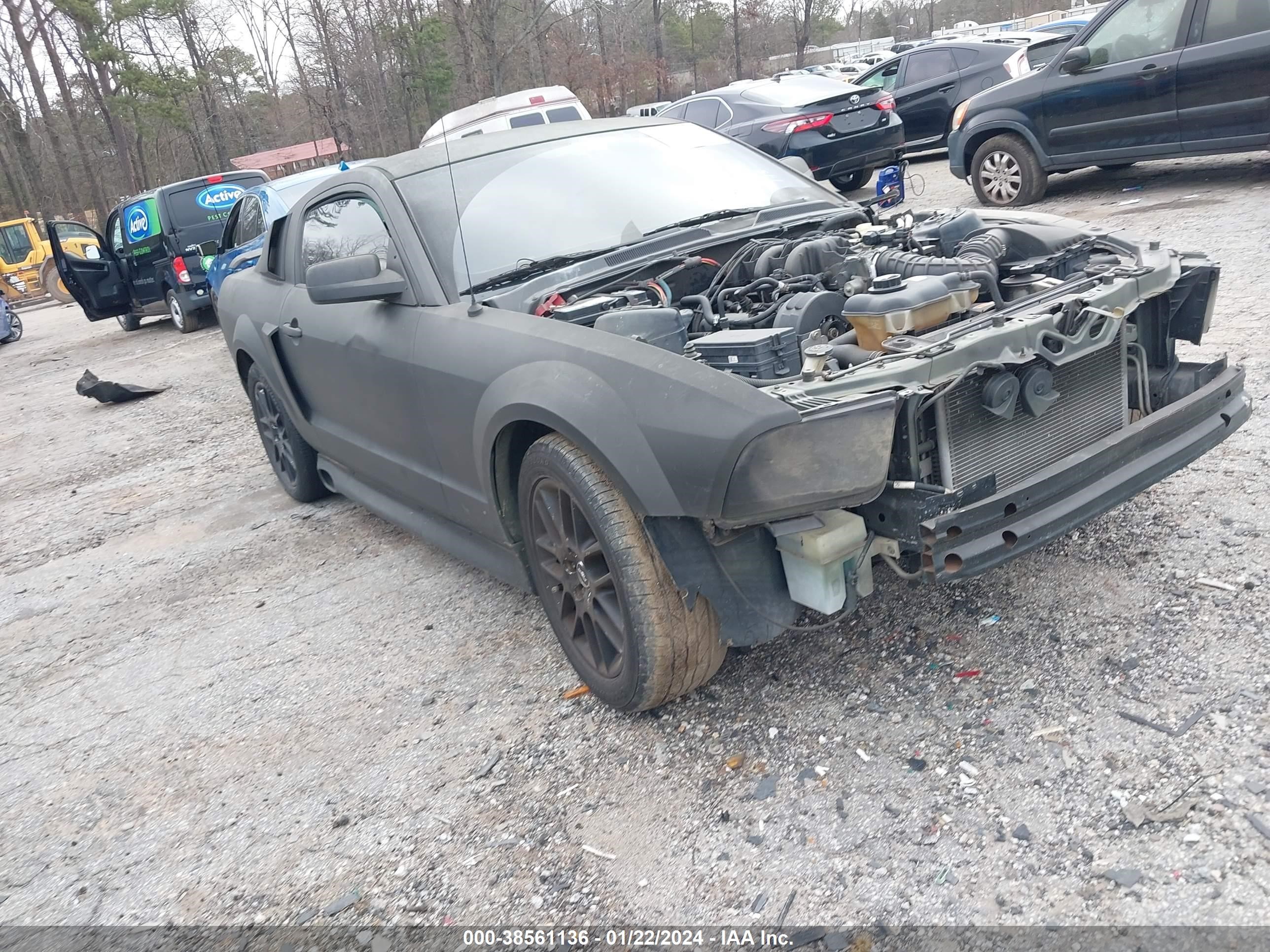 FORD MUSTANG 2005 1zvft80n155120103