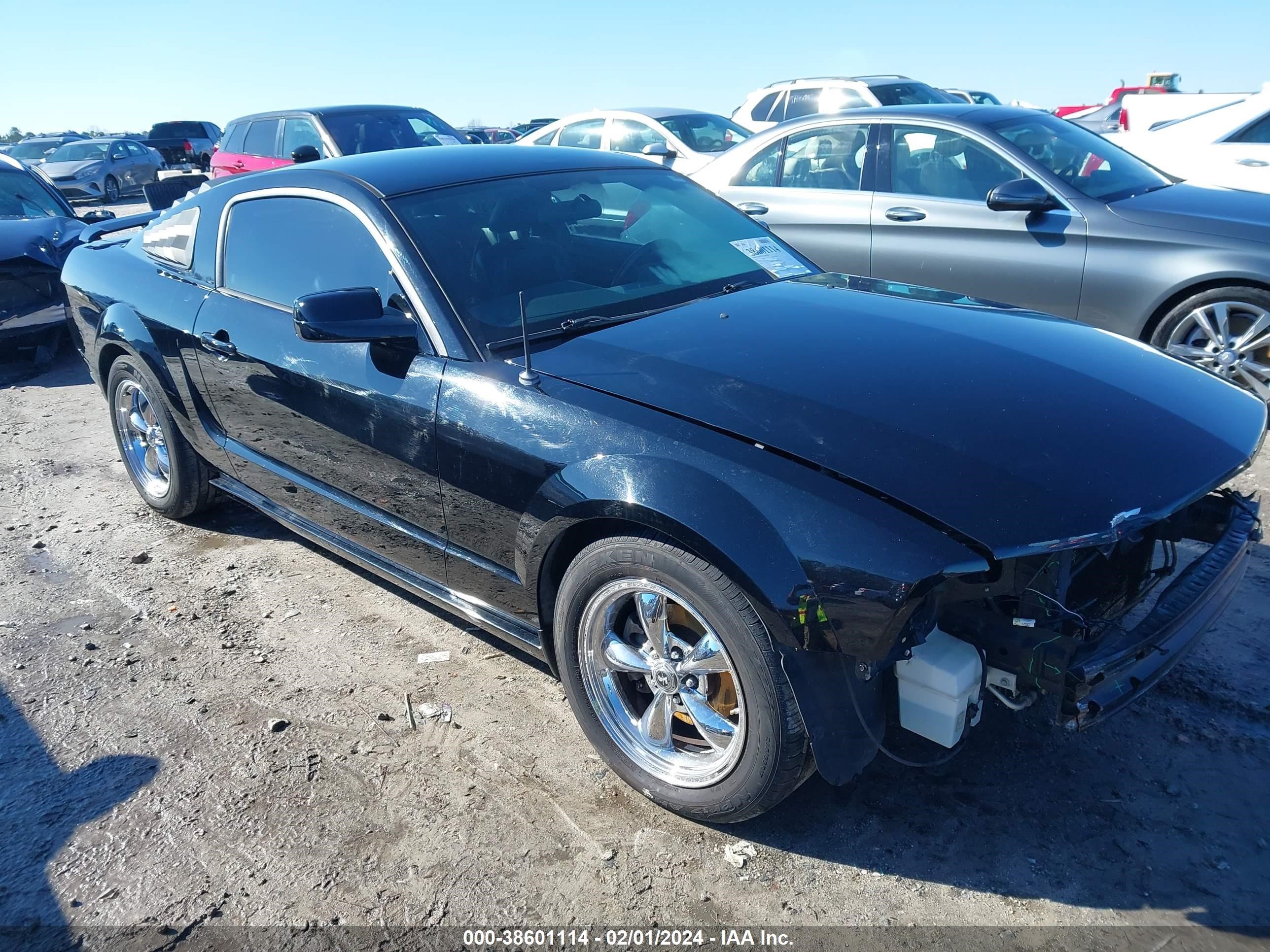 FORD MUSTANG 2005 1zvft80n155146460