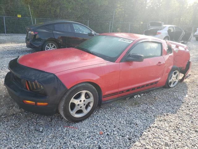 FORD MUSTANG 2005 1zvft80n155171861