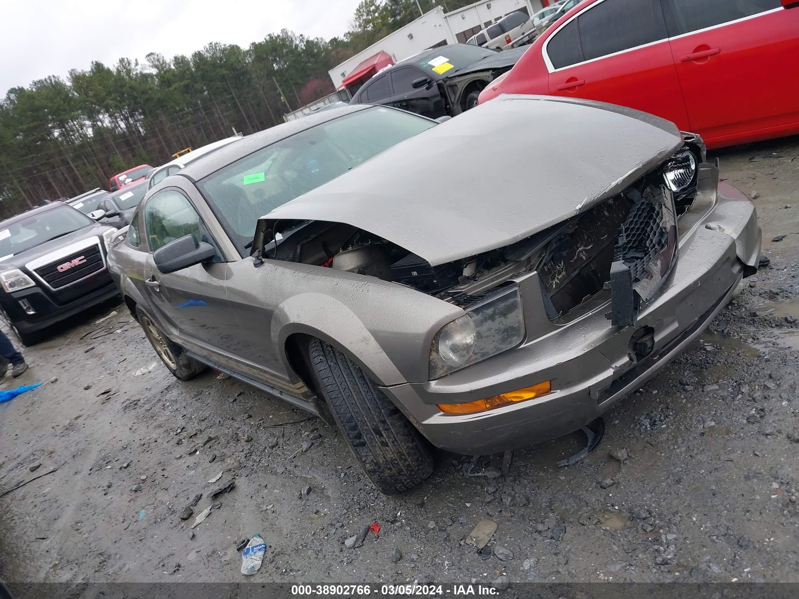 FORD MUSTANG 2005 1zvft80n155192337