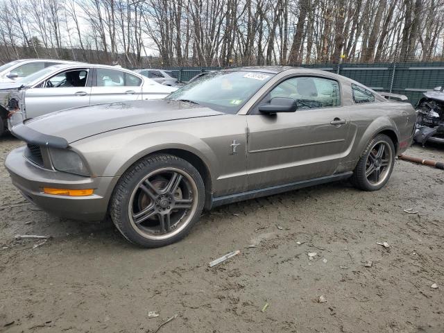 FORD MUSTANG 2005 1zvft80n155206141