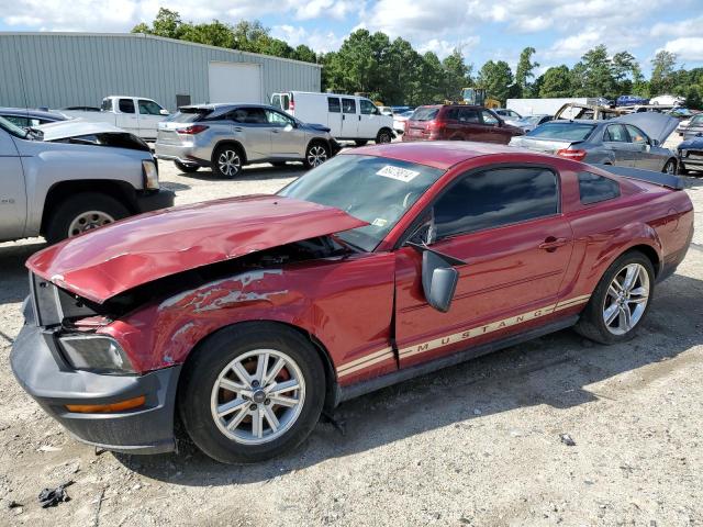 FORD MUSTANG 2005 1zvft80n155210903