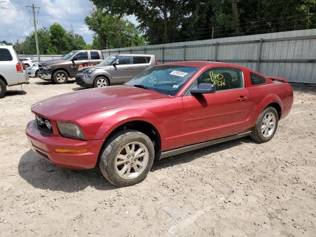 FORD MUSTANG 2005 1zvft80n155219715