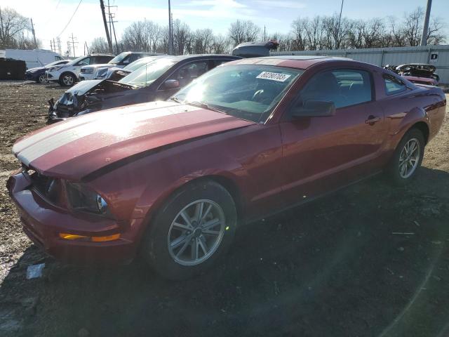 FORD MUSTANG 2005 1zvft80n155240290