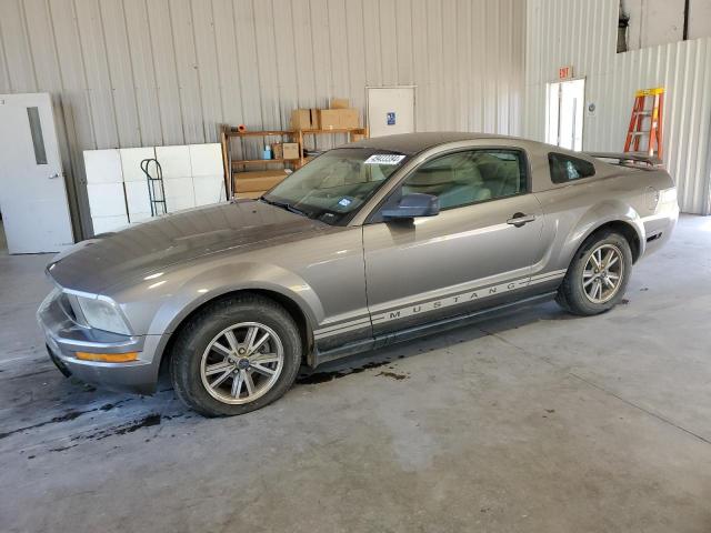 FORD MUSTANG 2005 1zvft80n155247059