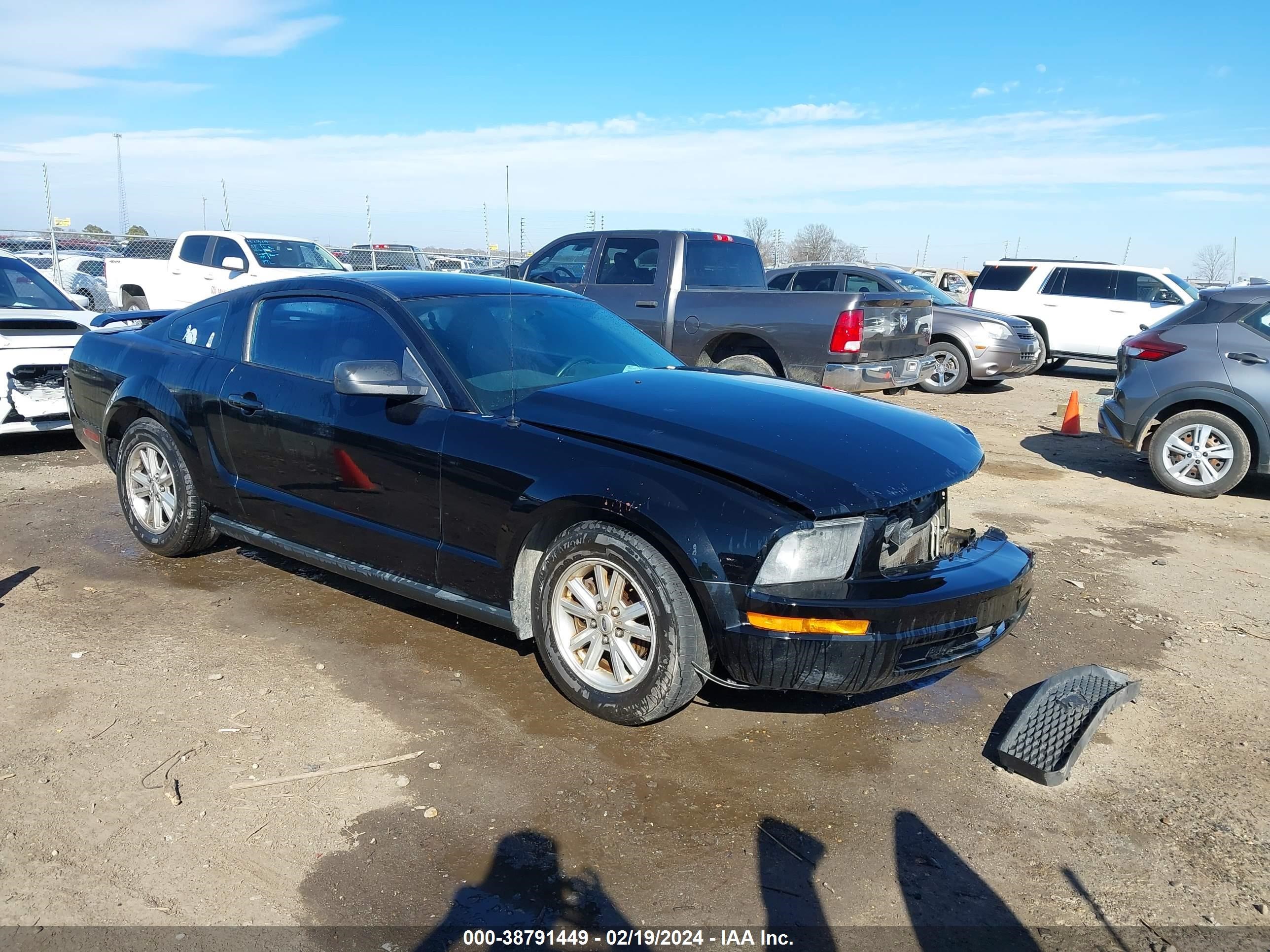 FORD MUSTANG 2005 1zvft80n155249667