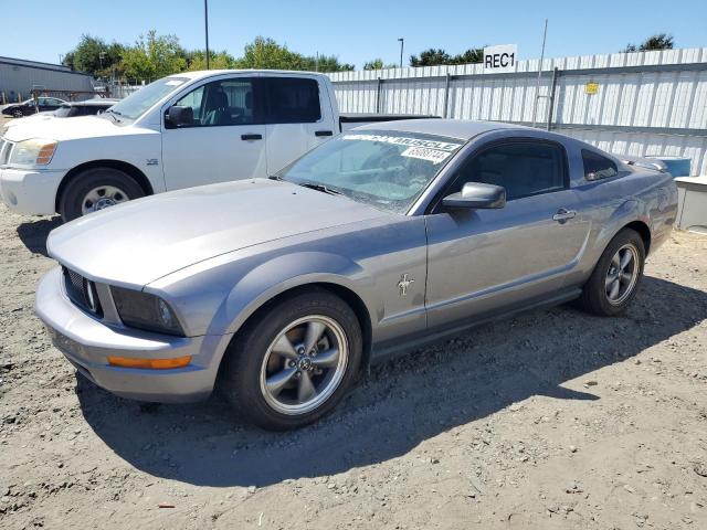 FORD MUSTANG 2006 1zvft80n165142314