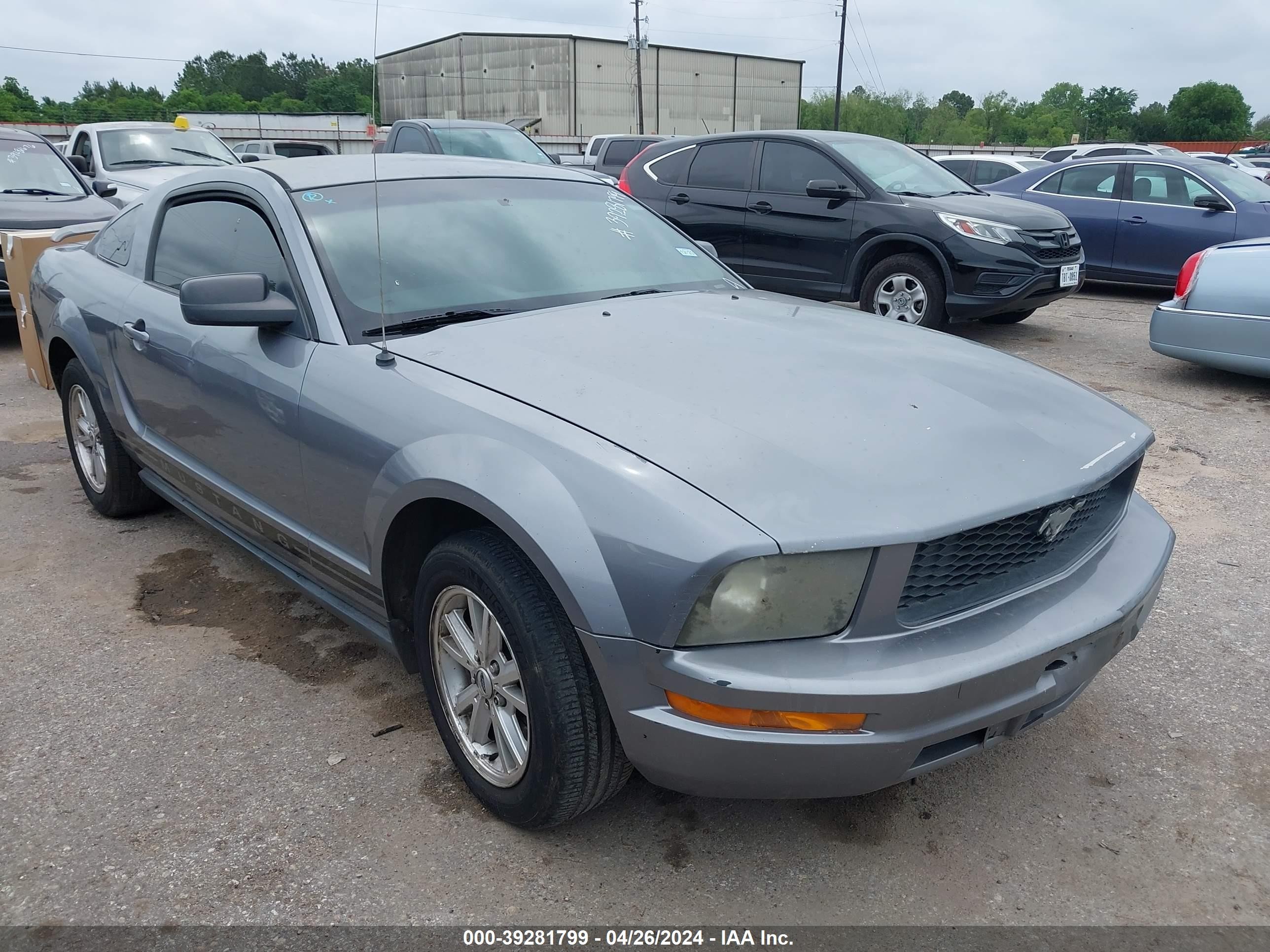 FORD MUSTANG 2006 1zvft80n165239531