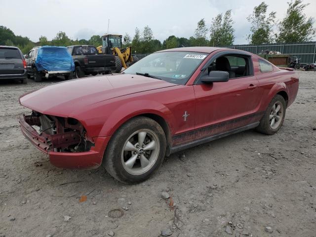 FORD MUSTANG 2007 1zvft80n175255858