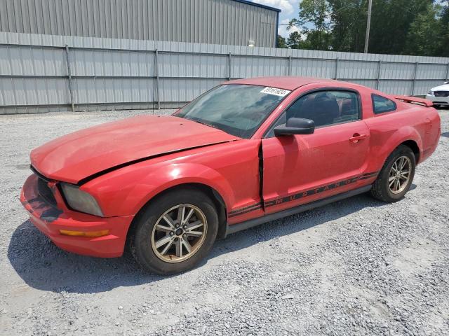 FORD MUSTANG 2005 1zvft80n255111667