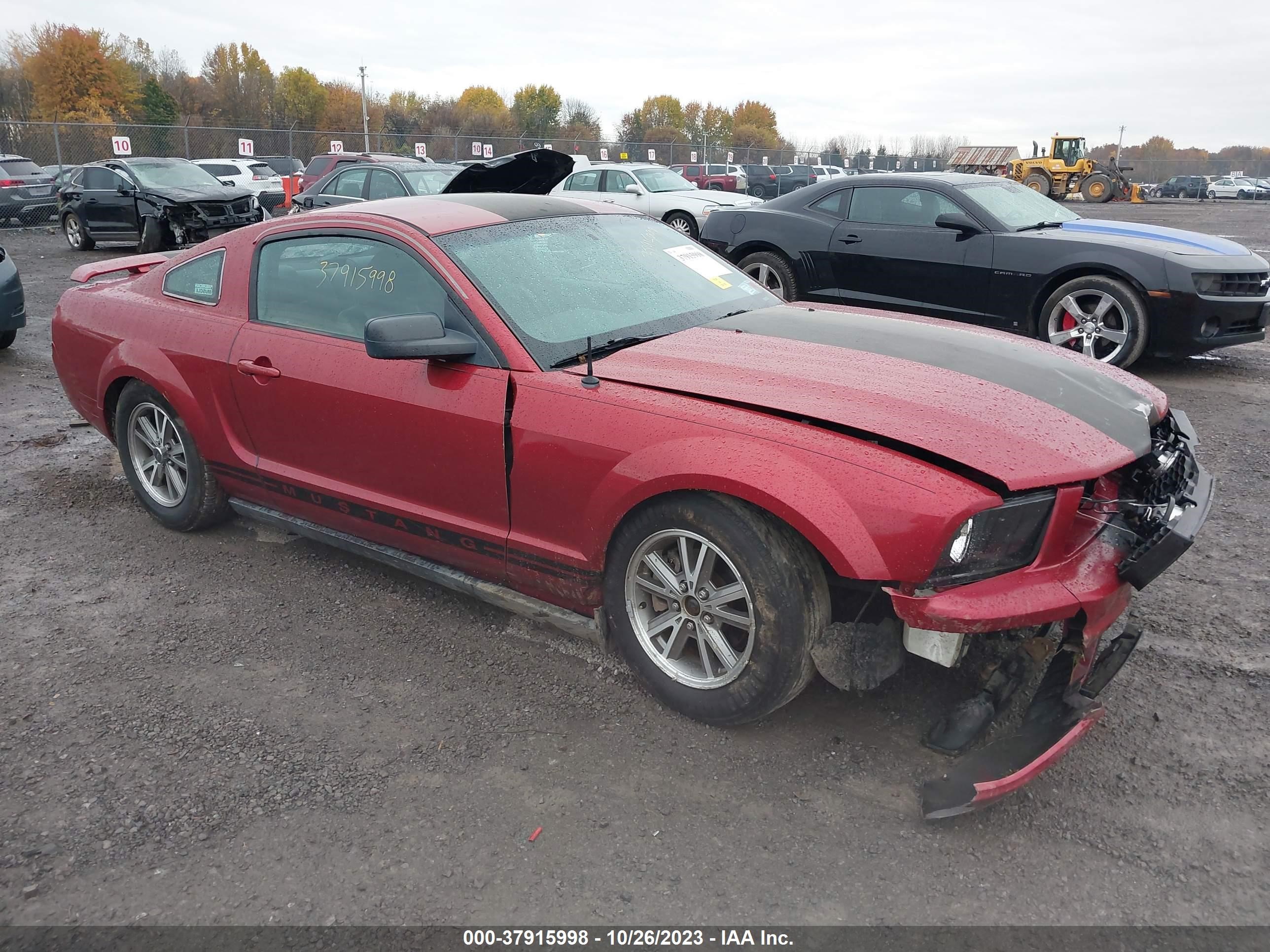 FORD MUSTANG 2005 1zvft80n255128369