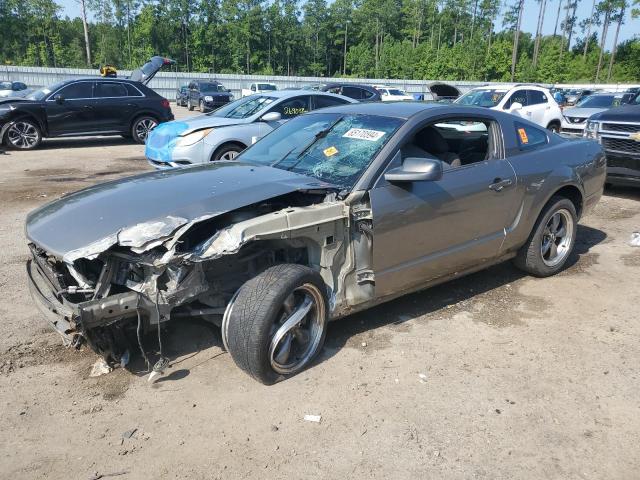 FORD MUSTANG 2005 1zvft80n255131031