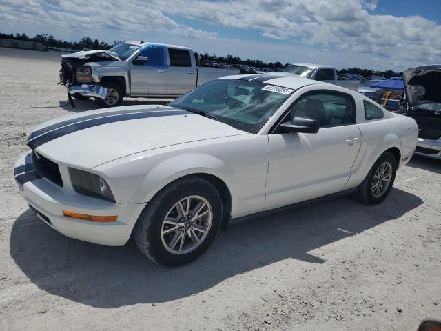 FORD MUSTANG 2005 1zvft80n255137069