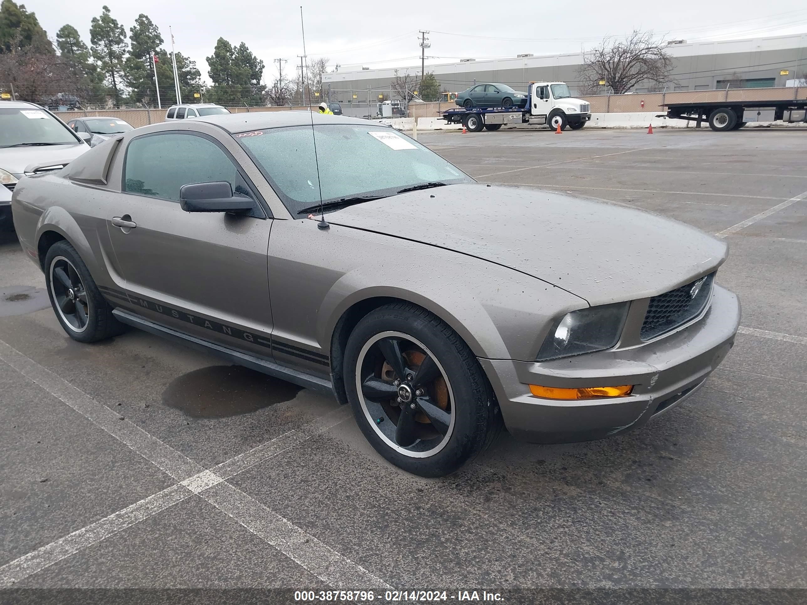 FORD MUSTANG 2005 1zvft80n255147388