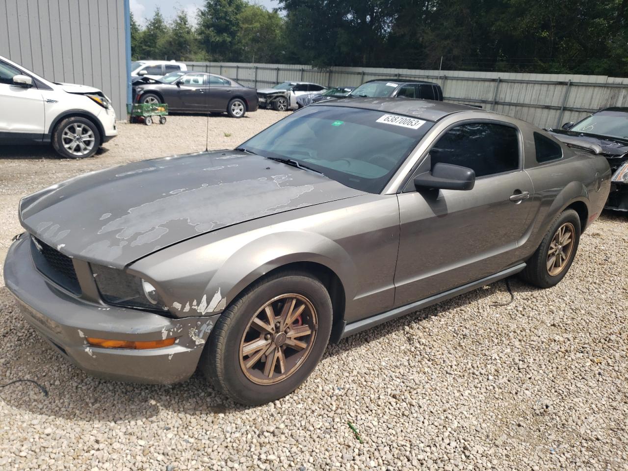 FORD MUSTANG 2005 1zvft80n255149335