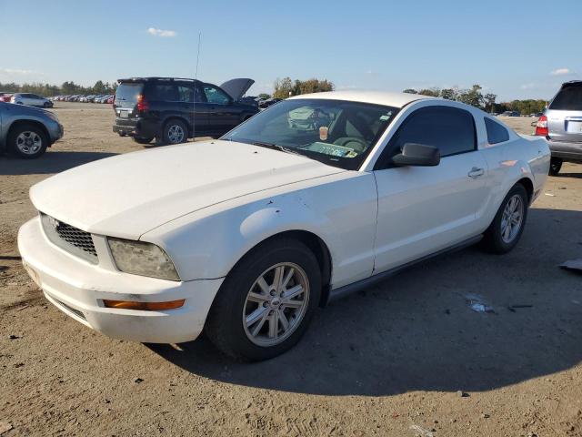 FORD ALL MODELS 2005 1zvft80n255179953