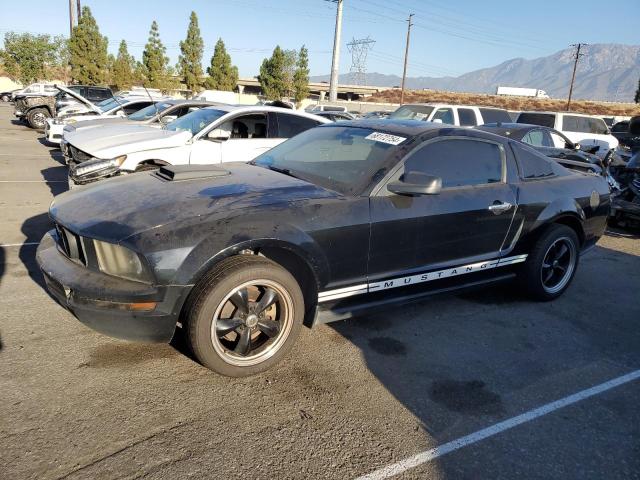 FORD MUSTANG 2005 1zvft80n255239102