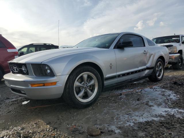 FORD MUSTANG 2006 1zvft80n265113999