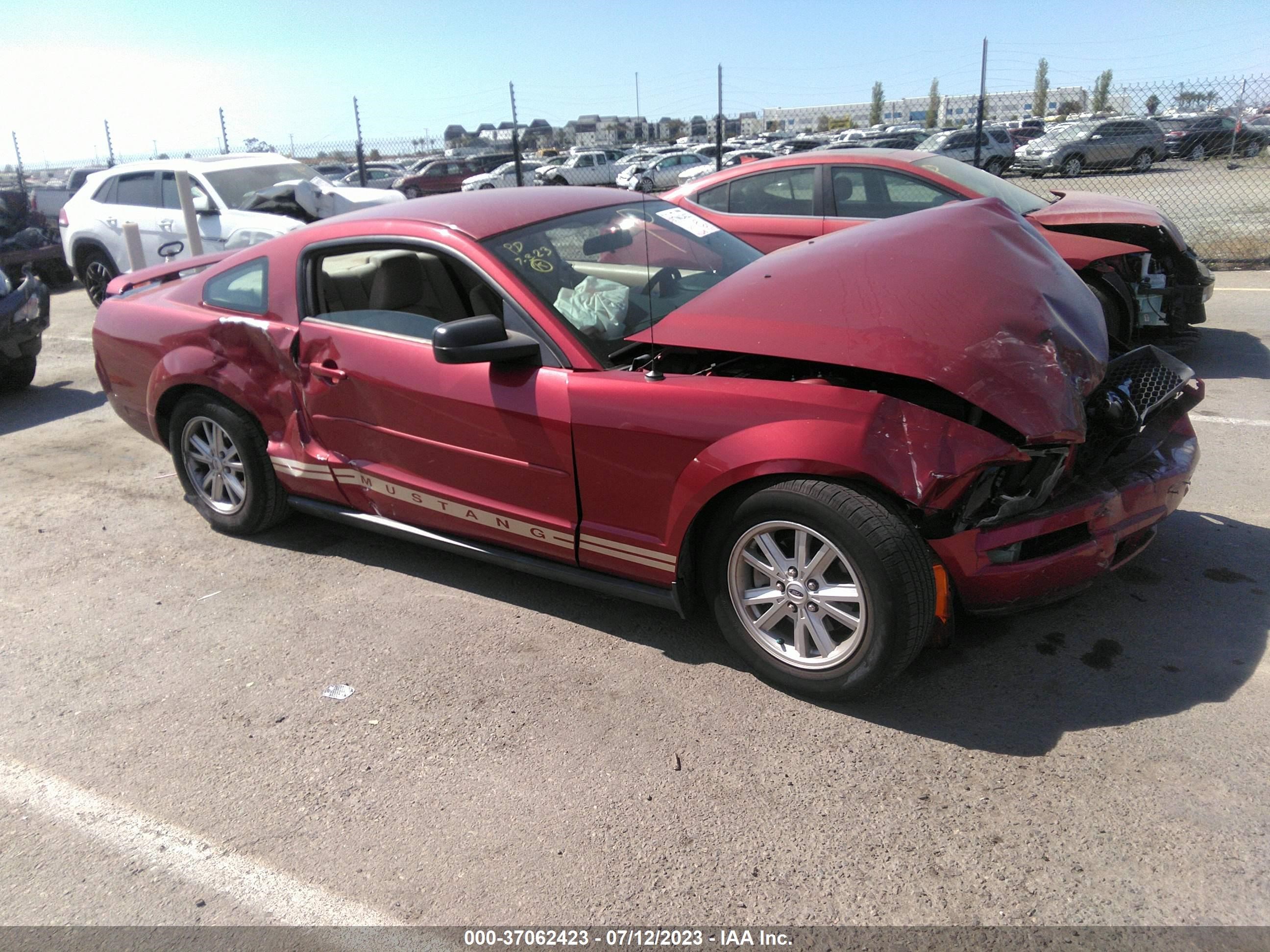 FORD MUSTANG 2005 1zvft80n355138974