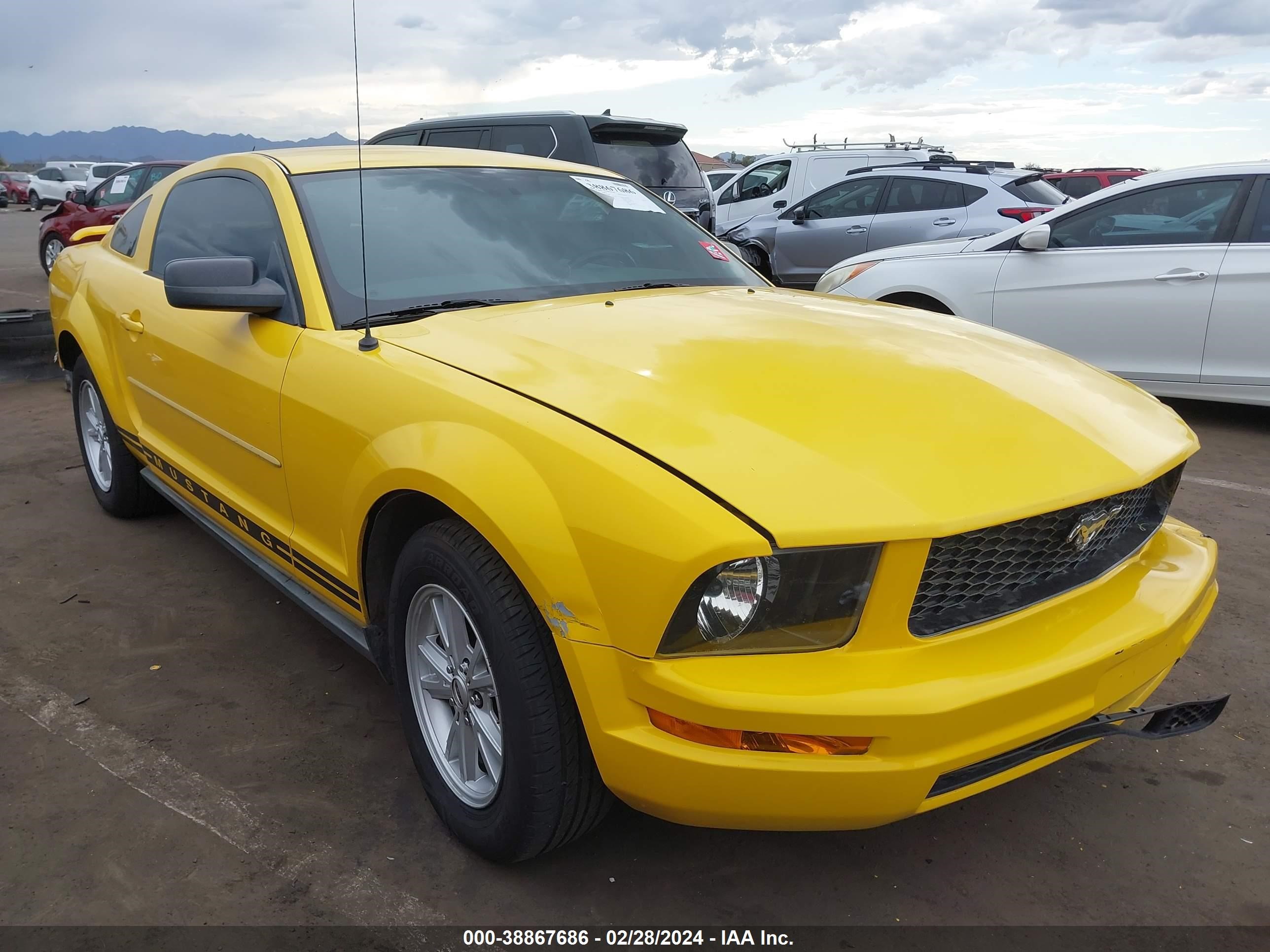 FORD MUSTANG 2005 1zvft80n355189309