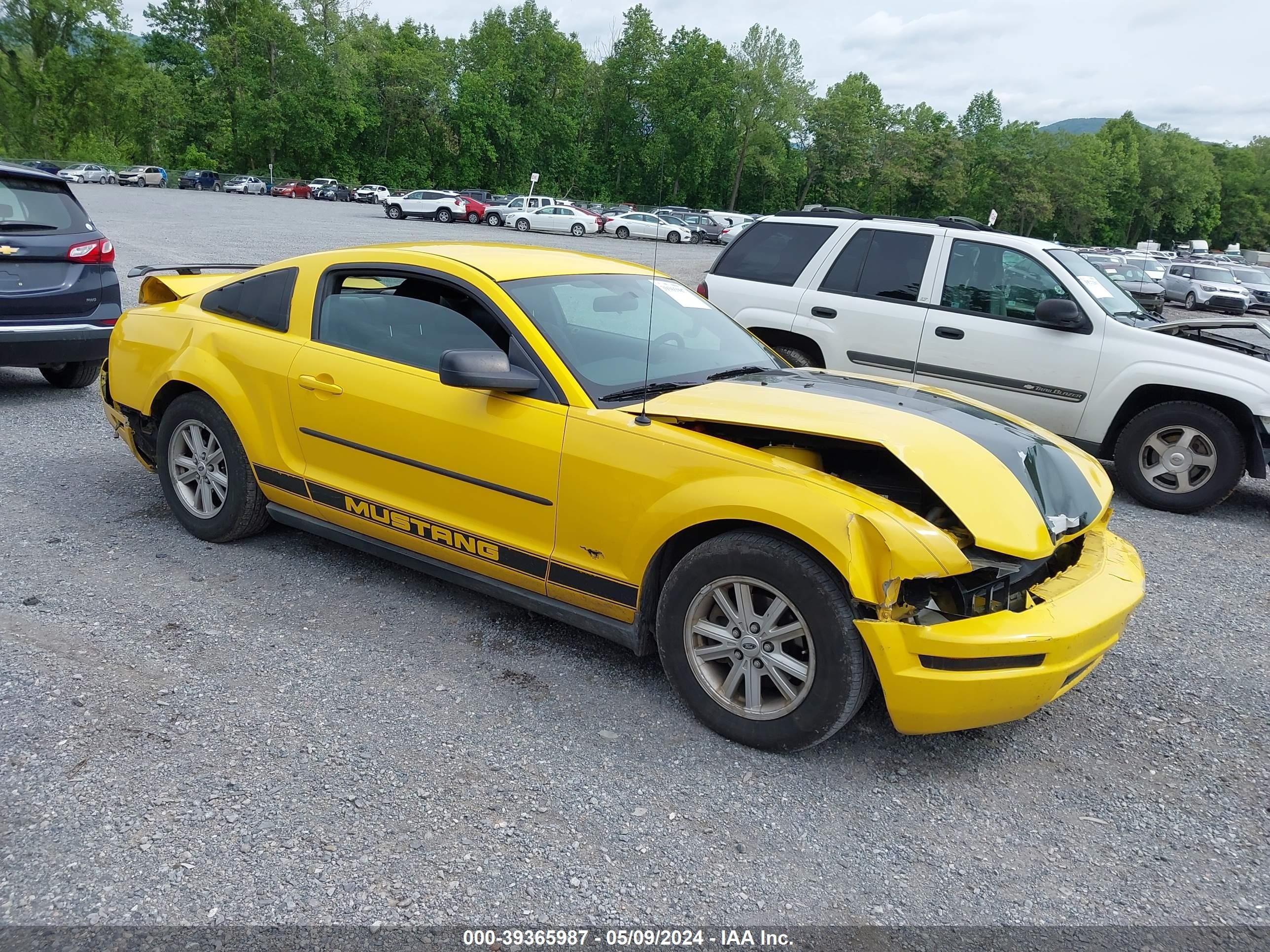 FORD MUSTANG 2005 1zvft80n355201958