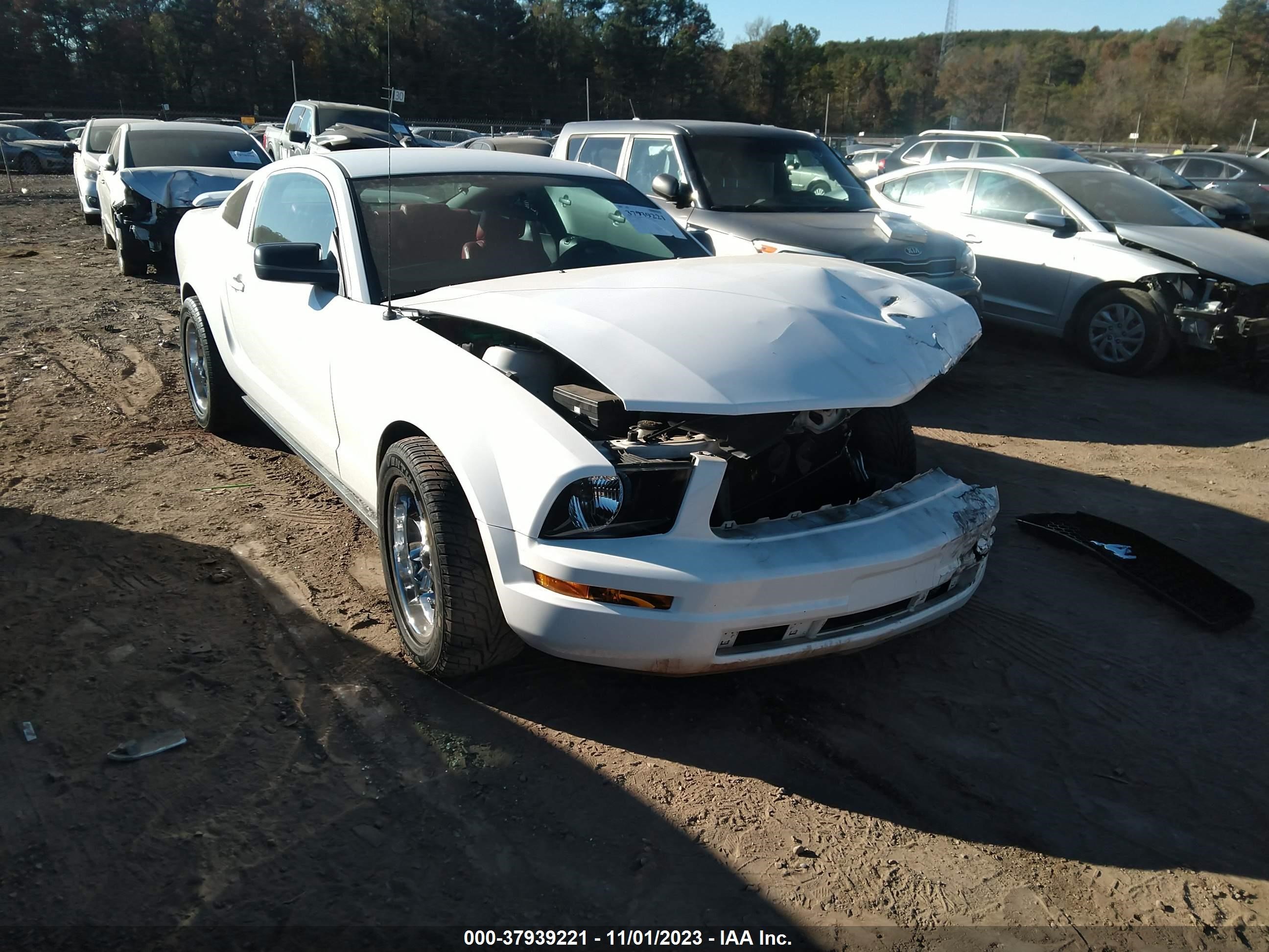 FORD MUSTANG 2005 1zvft80n355211566