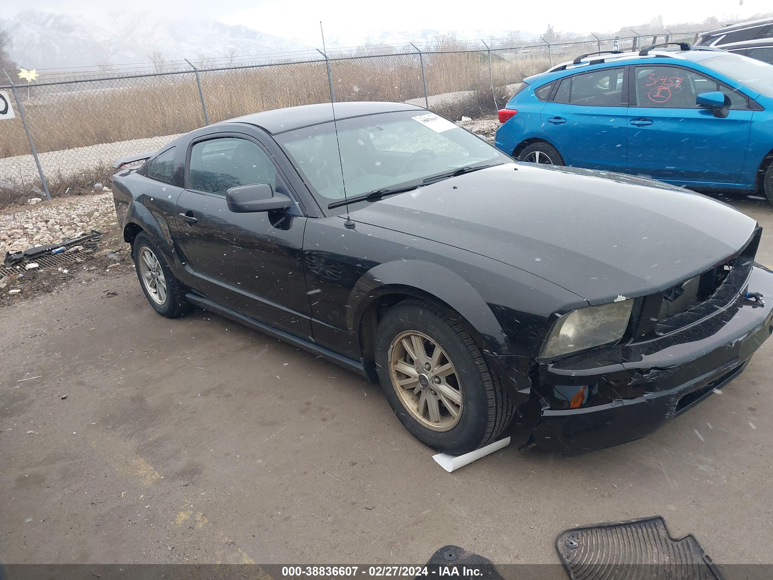 FORD MUSTANG 2006 1zvft80n365105264