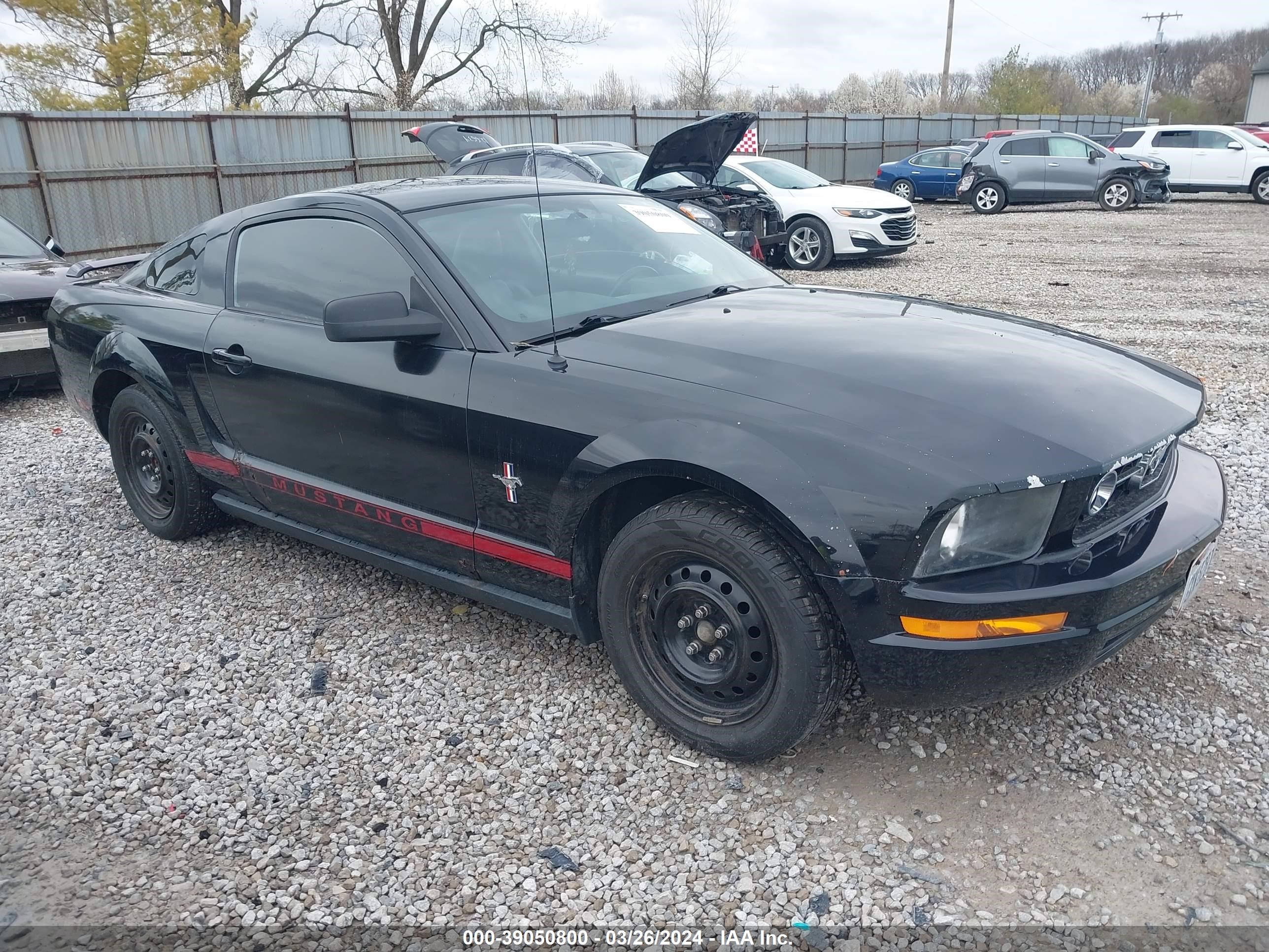 FORD MUSTANG 2006 1zvft80n365135607