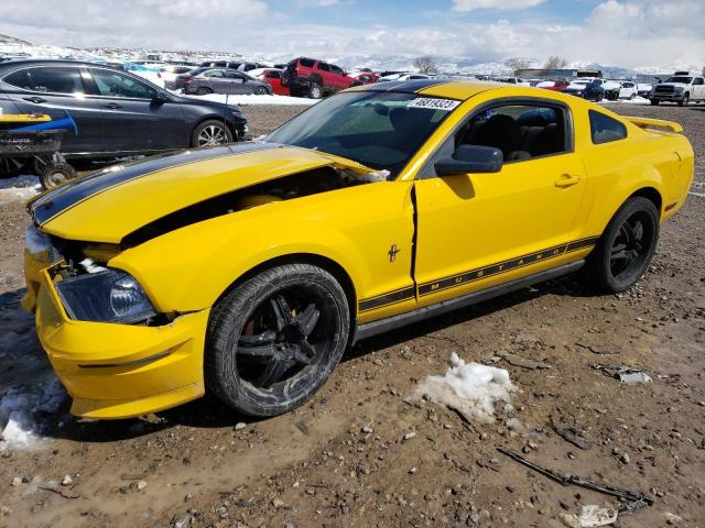 FORD MUSTANG 2006 1zvft80n365136112