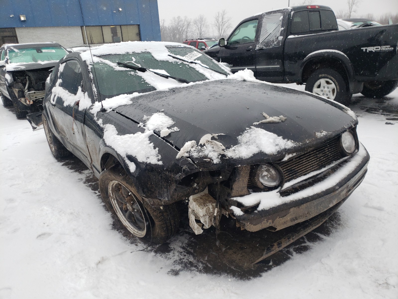 FORD MUSTANG 2006 1zvft80n365146204