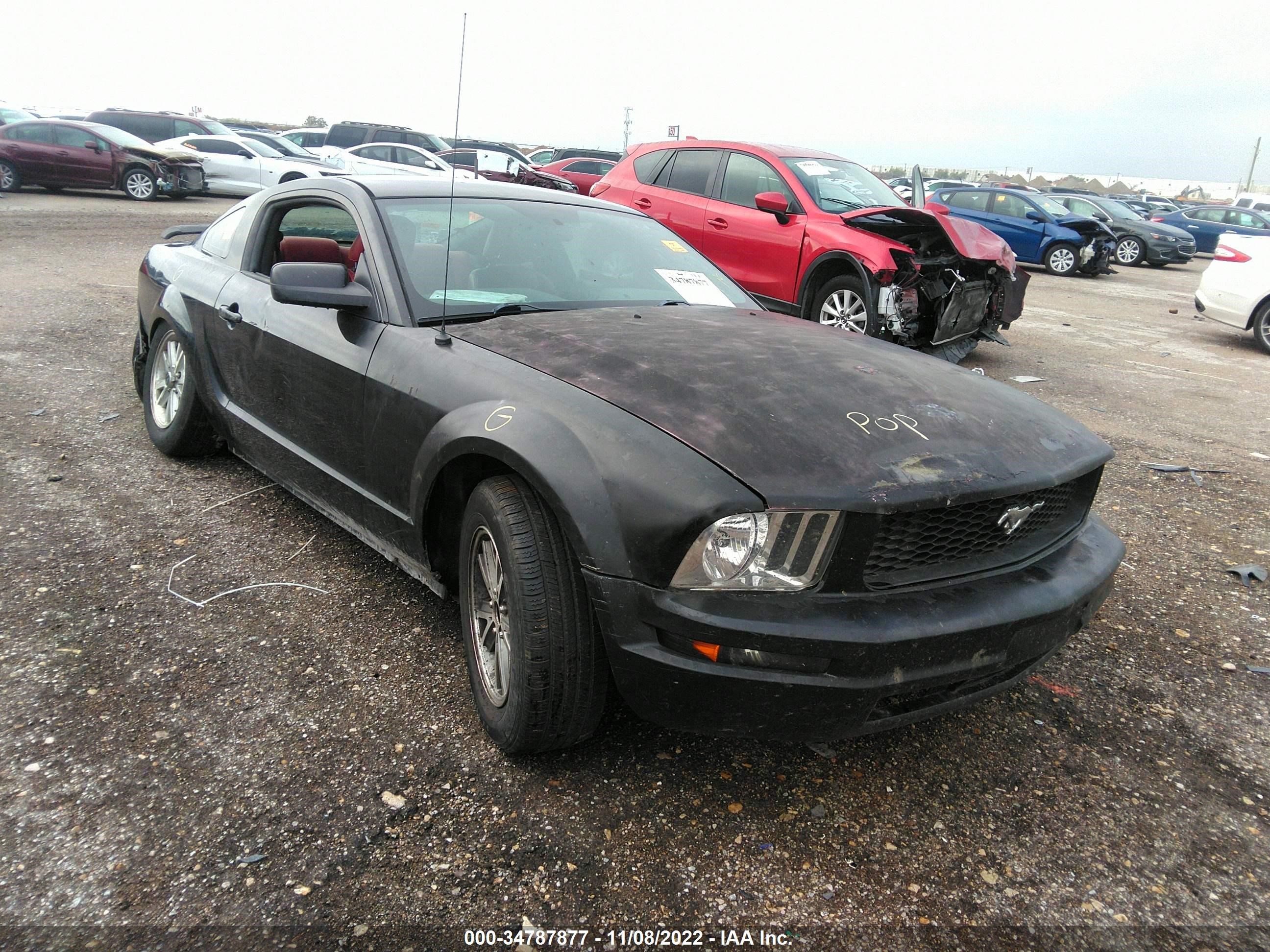 FORD MUSTANG 2006 1zvft80n365161334