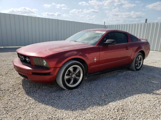 FORD MUSTANG 2006 1zvft80n365162192