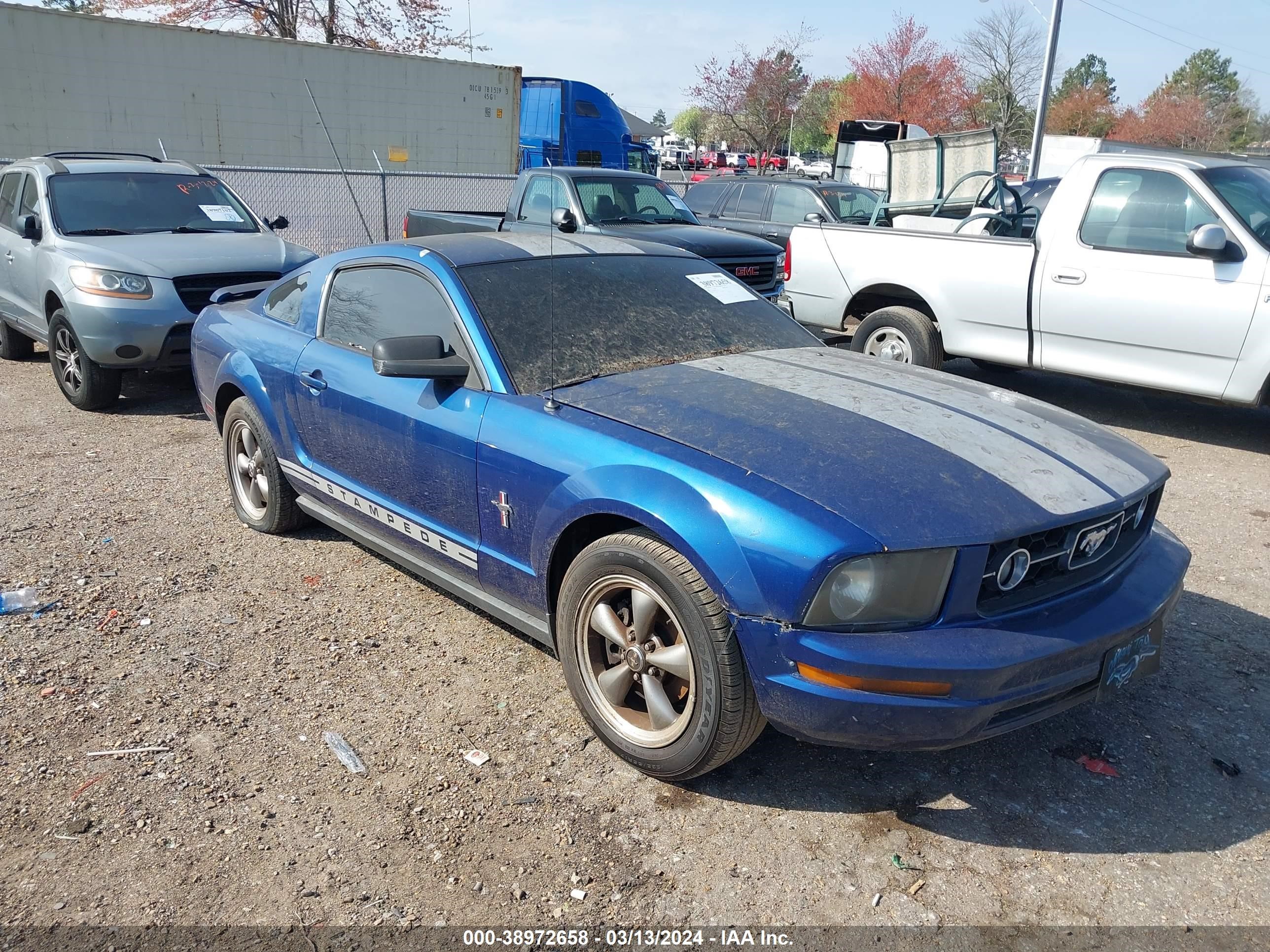 FORD MUSTANG 2006 1zvft80n365224545