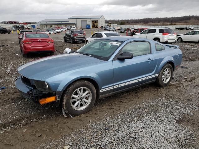 FORD MUSTANG 2006 1zvft80n365228434