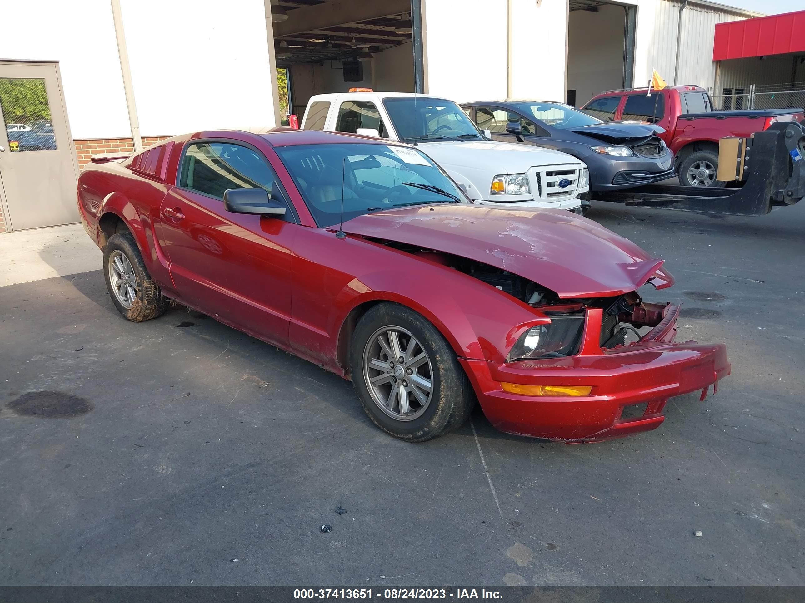 FORD MUSTANG 2007 1zvft80n375328907