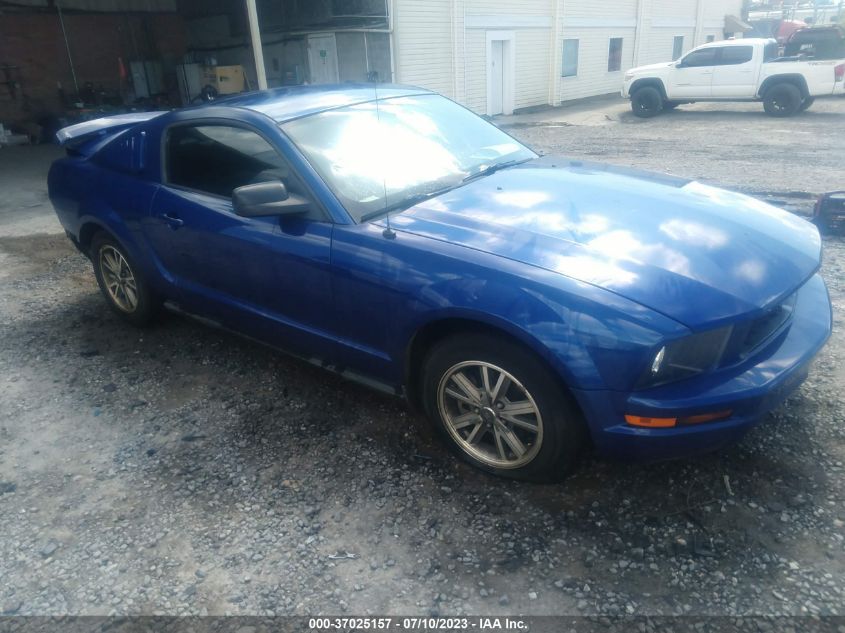 FORD MUSTANG 2005 1zvft80n455117910