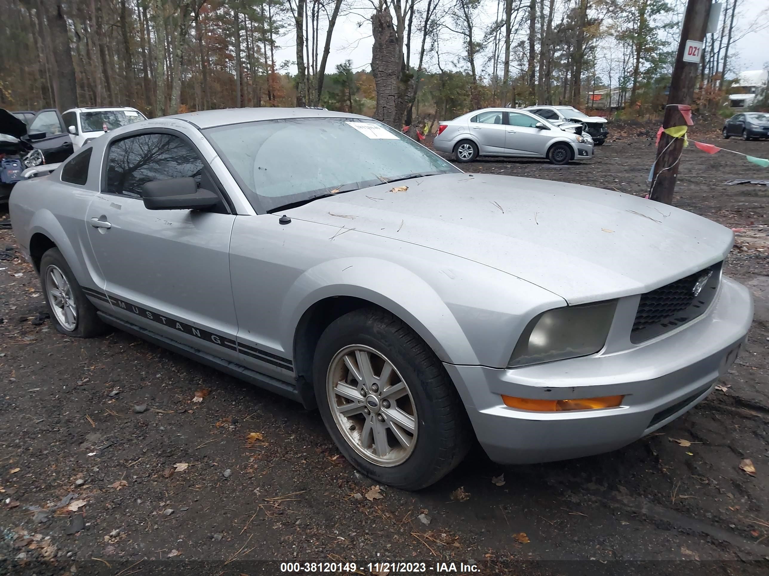 FORD MUSTANG 2005 1zvft80n455169960