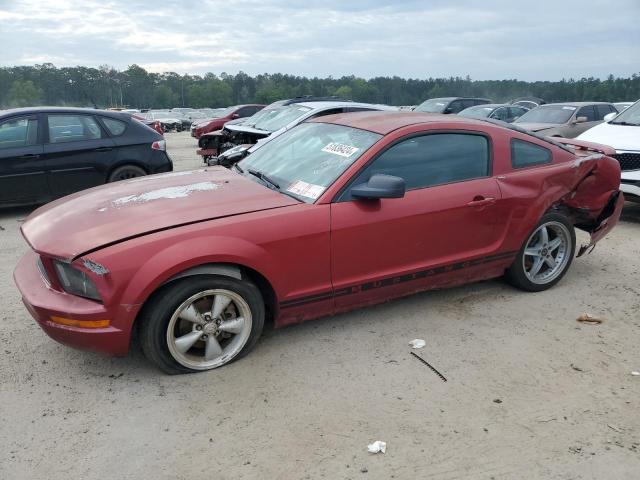 FORD MUSTANG 2005 1zvft80n455184524