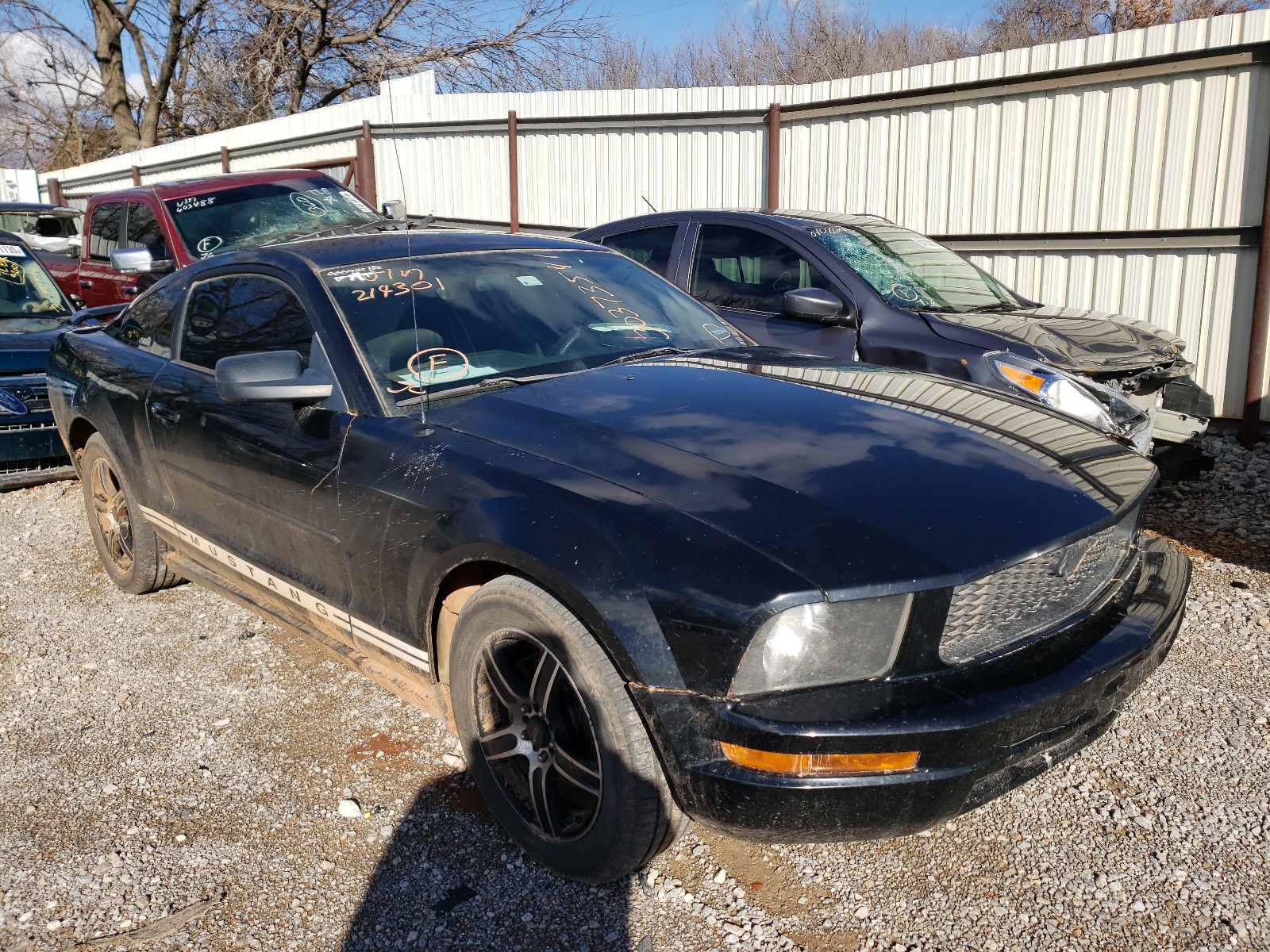 FORD MUSTANG 2005 1zvft80n455214301