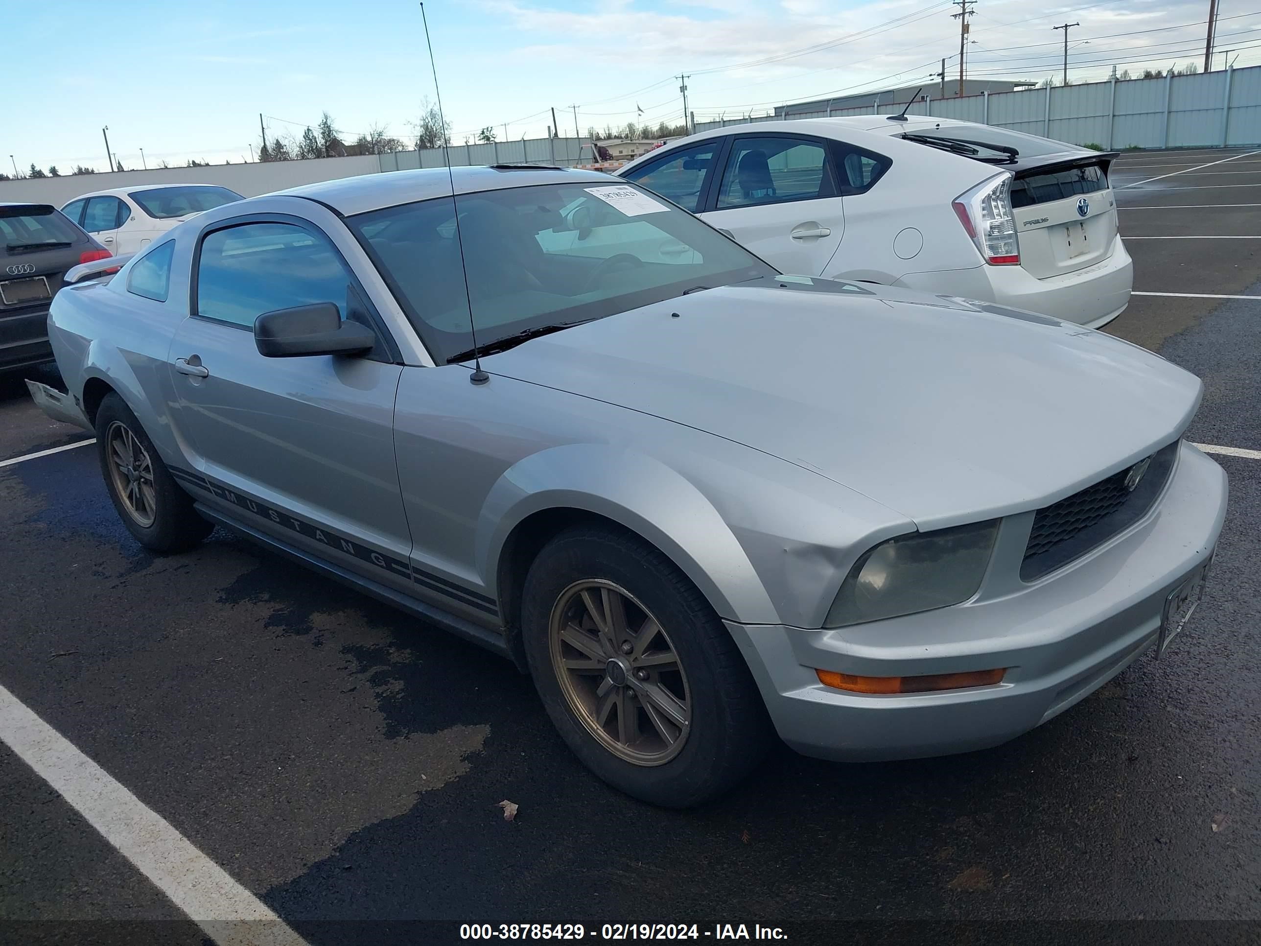 FORD MUSTANG 2005 1zvft80n455222852