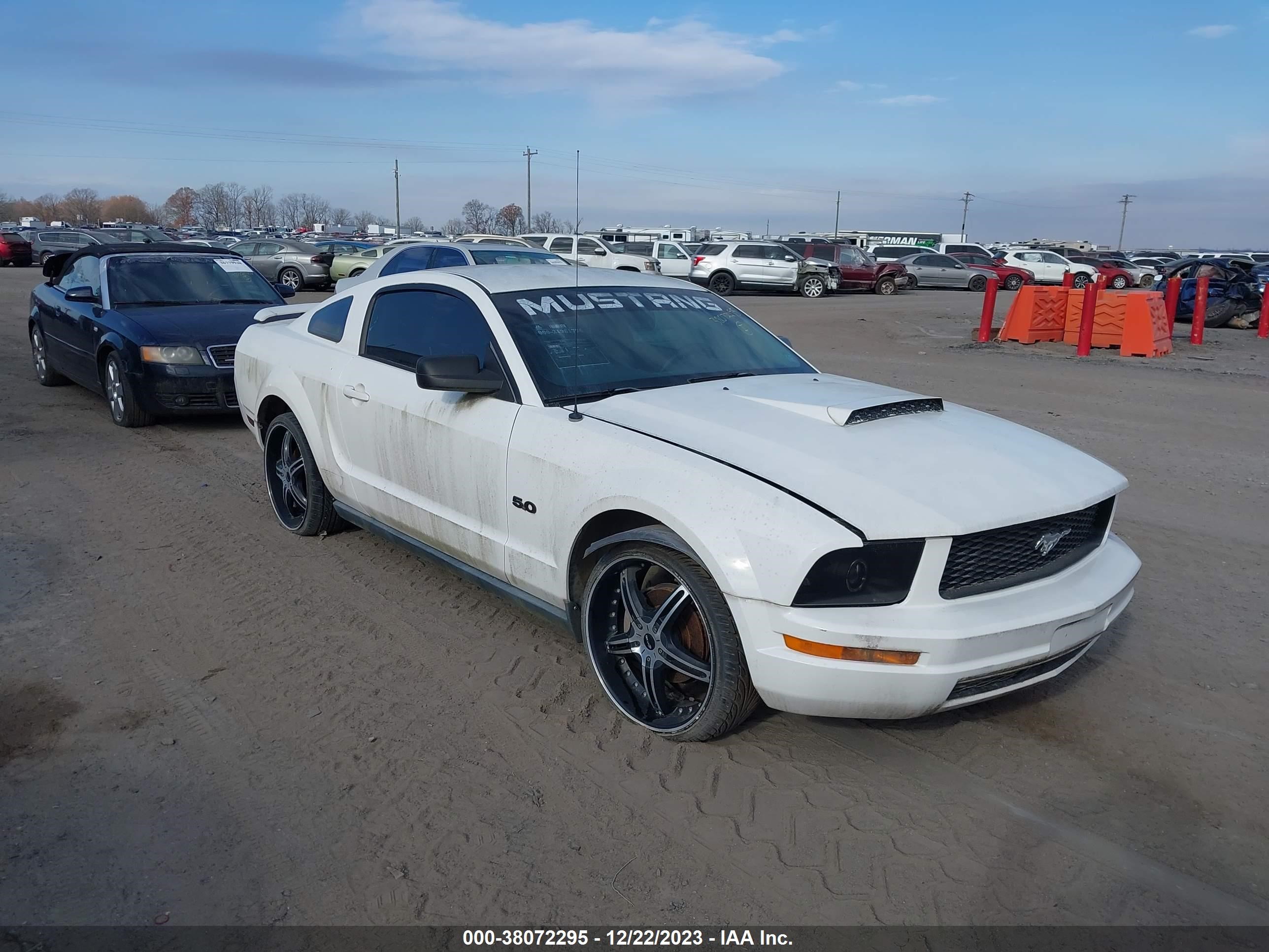 FORD MUSTANG 2005 1zvft80n455224570