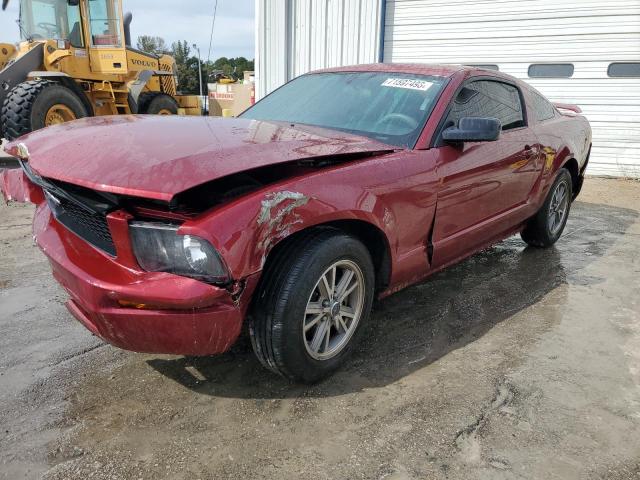 FORD ALL MODELS 2005 1zvft80n455242499