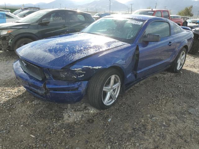 FORD ALL MODELS 2005 1zvft80n455257035