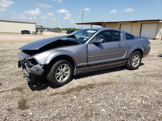 FORD MUSTANG 2006 1zvft80n465104740